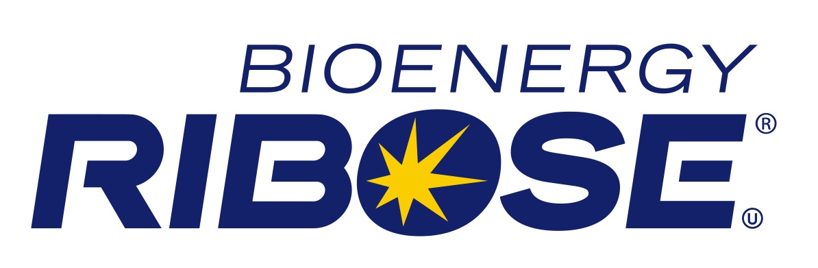 Ingrediënt Bioenergy Ribose