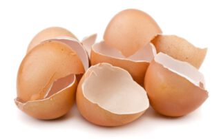 eggshell membrane